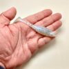 Ribbed Shad 4" (4 Un.)