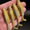 3" - 7.6cm Gudgeon PreyBait (5 pack)