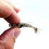 2" - 5cm Gudgeon (10 pack)