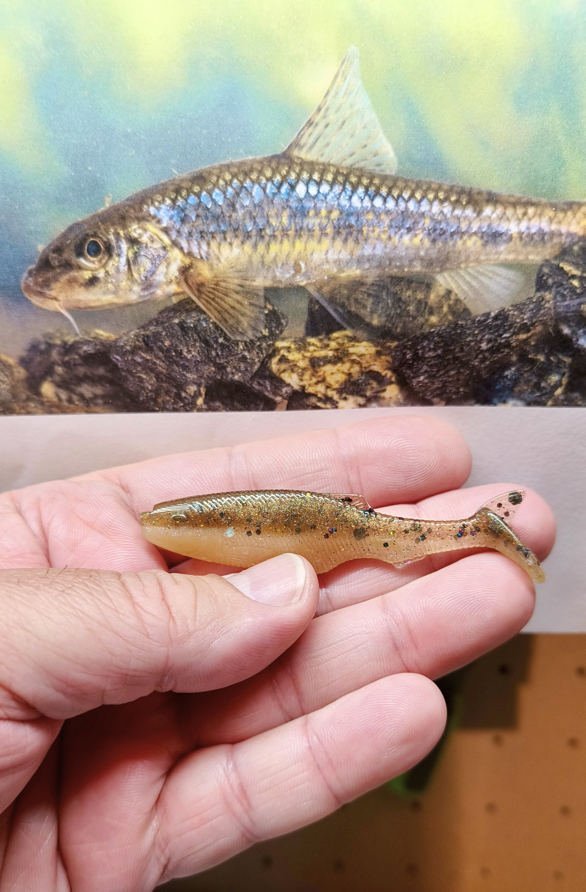 3" - 7.6cm Gudgeon PreyBait (5 pack)