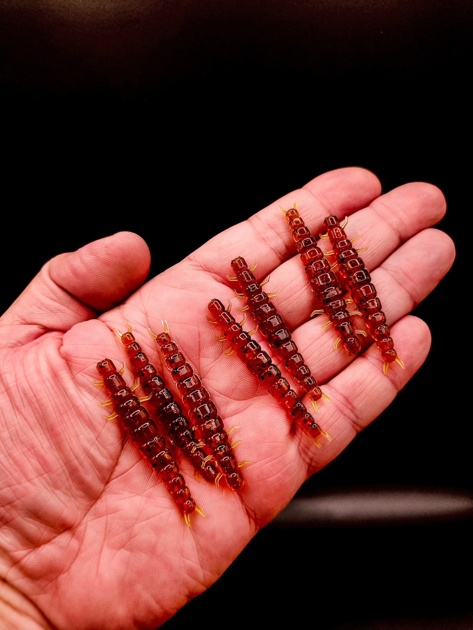 Cadis Larva 2.2" - 5.6cm (8 pack)