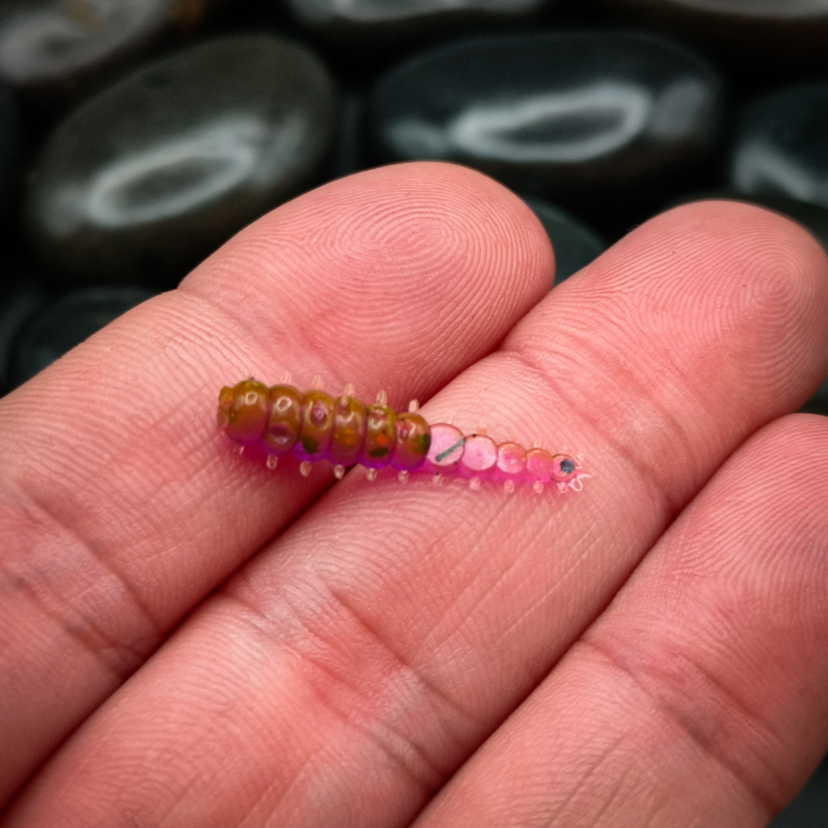 Battle Grub - 2.5cm (15 pack)