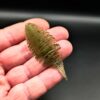SW-RG70-GTH-2 Rip Gill - 7cm (5 pack)