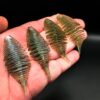 SW-RG70-ROA-2 Rip Gill - 7cm (5 pack)
