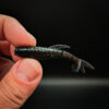 Stickleback - 7.6cm (6 pack)