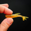 Stickleback - 7.6cm (6 pack)
