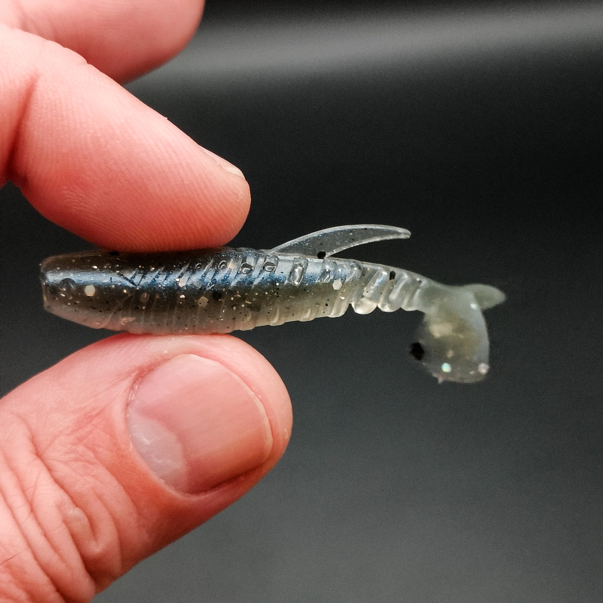 Stickleback - 7.6cm (6 pack)