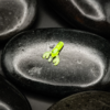 Nano Pincher – Chartreuse Nano Pincher soft plastic creature lure in Chartreuse colour