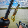 Mini Pincher – rigged lure Mini Pincher lure rigged beside a fishing rod and reel